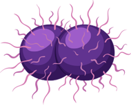 STD-Website-Gonorrhoea-V2 STD-Website-Gonorrhoea-V2