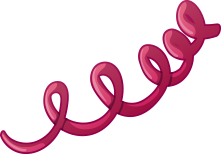 STD-Website-Syphilis STD-Website-Syphilis